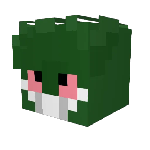 Ct_2Savv Minecraft avatar head, 3D render