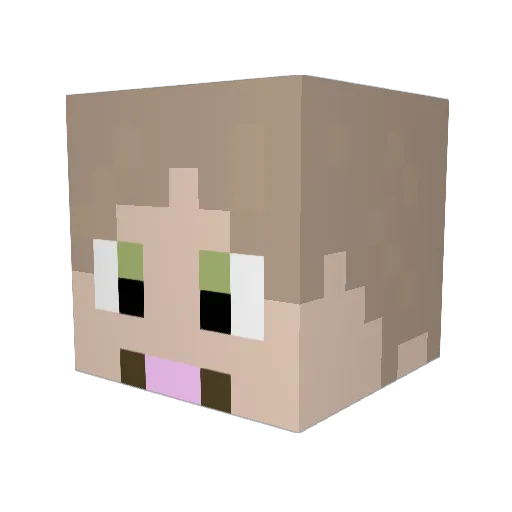 Ctenophor5 Minecraft avatar head, 3D render