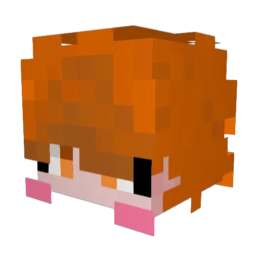 Ctick Minecraft avatar head, 3D render