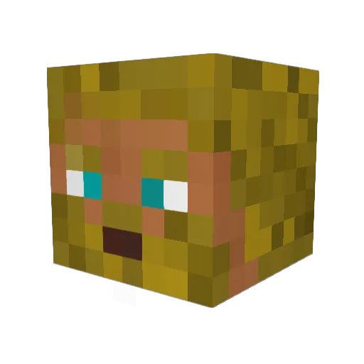Ctop37 Minecraft avatar head, 3D render