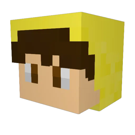 Cttpingu Minecraft avatar head, 3D render