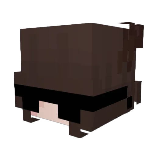 Minecraft-Avatar von Cub_Expert: Kopf als 3D-Render