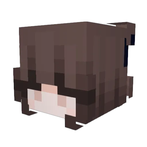 CubeB4NANA Minecraft avatar head, 3D render
