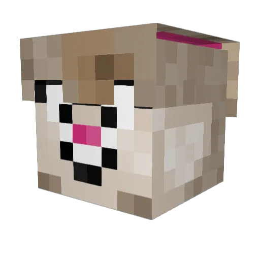 CubeJohnson Minecraft avatar head, 3D render