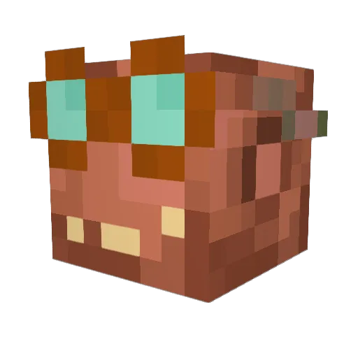 CubeN98 Minecraft avatar head, 3D render