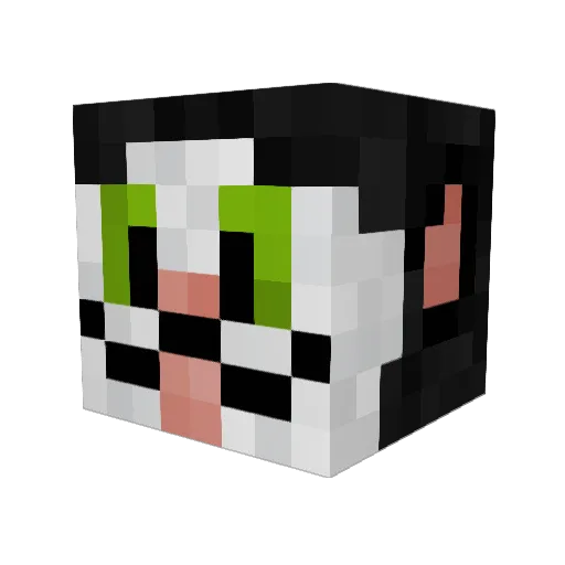 Cube_Kat Minecraft avatar head, 3D render