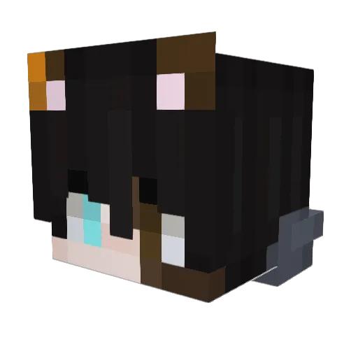 CubedCreator11 Minecraft avatar head, 3D render