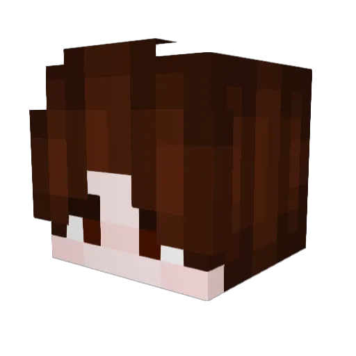 CuberLink_ Minecraft avatar head, 3D render