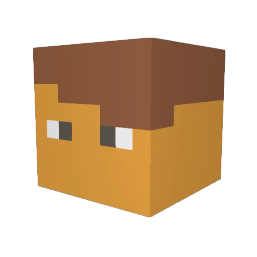 CubesCodes Minecraft avatar head, 3D render