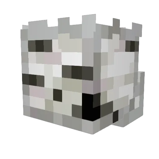 Cublix22 Minecraft avatar head, 3D render