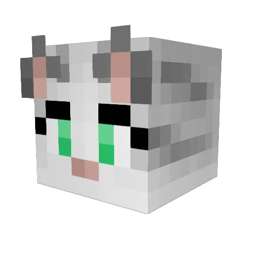 CubyKitty Minecraft avatar head, 3D render