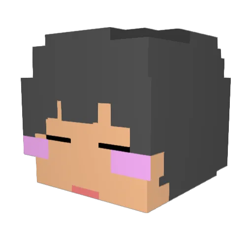 Cuchool_ Minecraft avatar head, 3D render