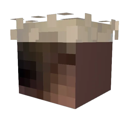 Cucklum Minecraft avatar head, 3D render