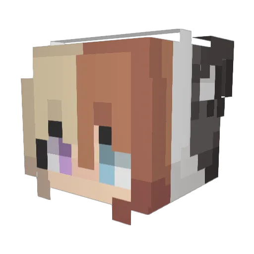Cucurucris Minecraft avatar head, 3D render
