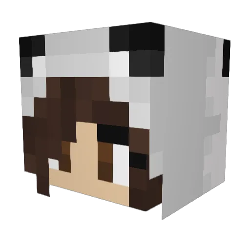 CuddlyBabyPanda Minecraft avatar head, 3D render