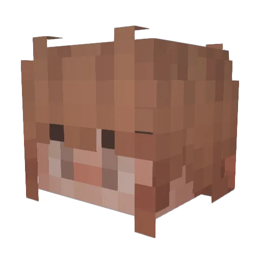 CuddlyCosmic Minecraft avatar head, 3D render