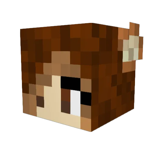 CuddlyKaylaBear Minecraft avatar head, 3D render