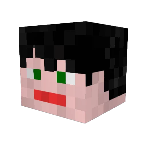 CuddlyWarthog Minecraft avatar head, 3D render