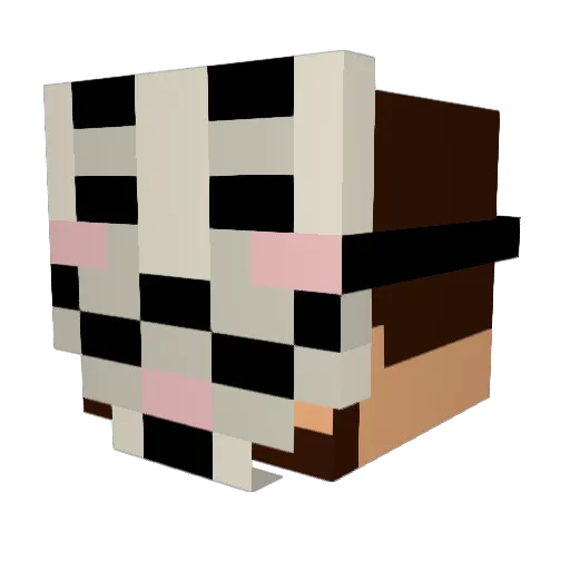 CuddyPod Minecraft avatar head, 3D render