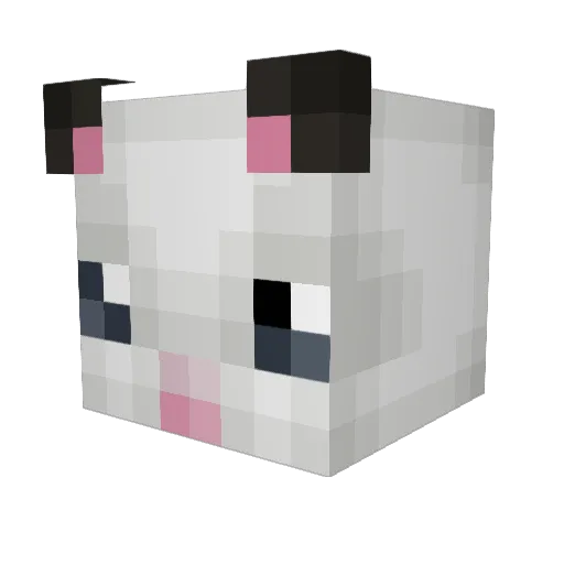 Cuesnipe Minecraft avatar head, 3D render