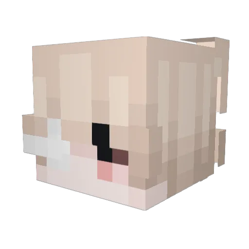 Cuih Minecraft avatar head, 3D render