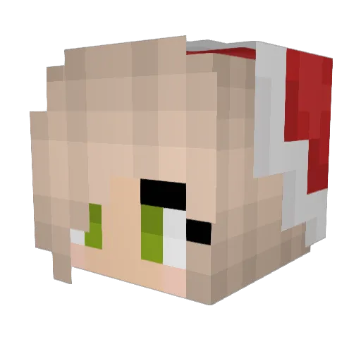 Cuitecat Minecraft avatar head, 3D render