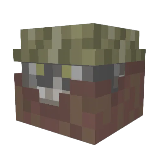Cujo4488 Minecraft avatar head, 3D render