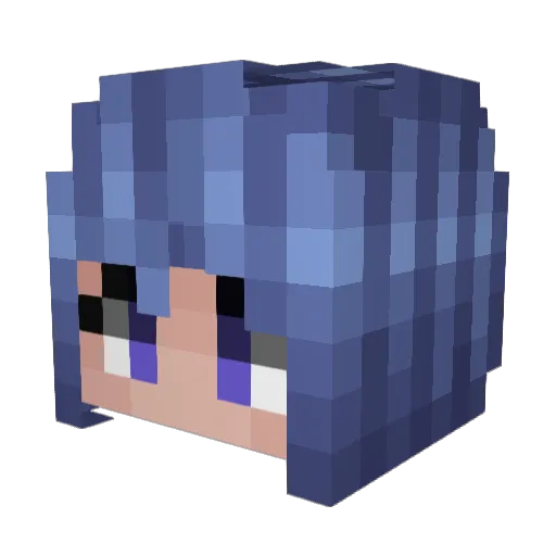 Cujo6288 Minecraft avatar head, 3D render