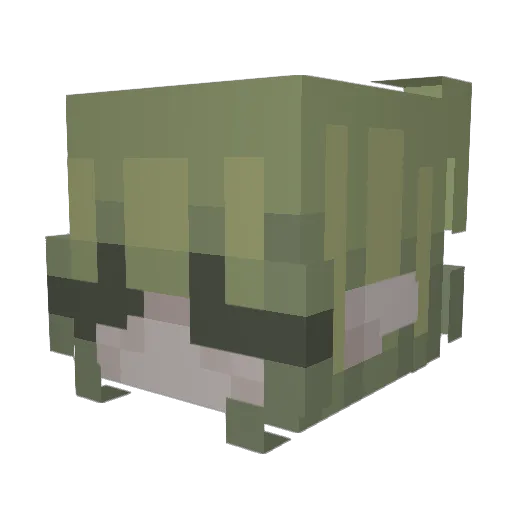 CujoVoid Minecraft avatar head, 3D render