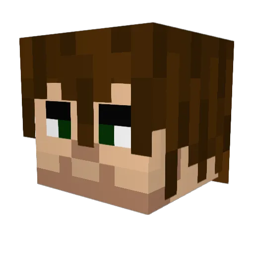 Cullen9 Minecraft avatar head, 3D render