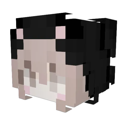 Culonsita Minecraft avatar head, 3D render