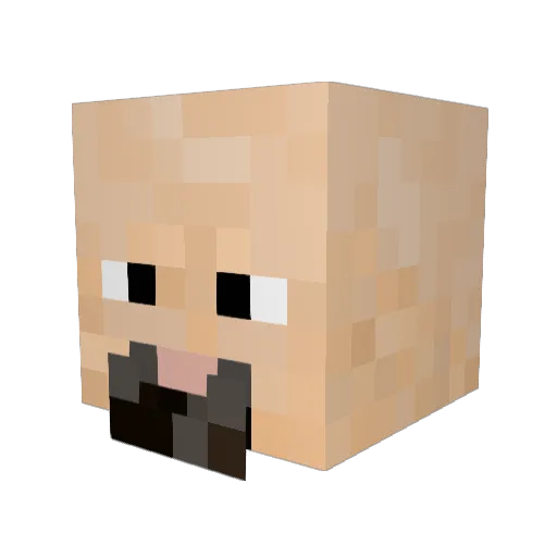 Cultrwarrior Minecraft avatar head, 3D render