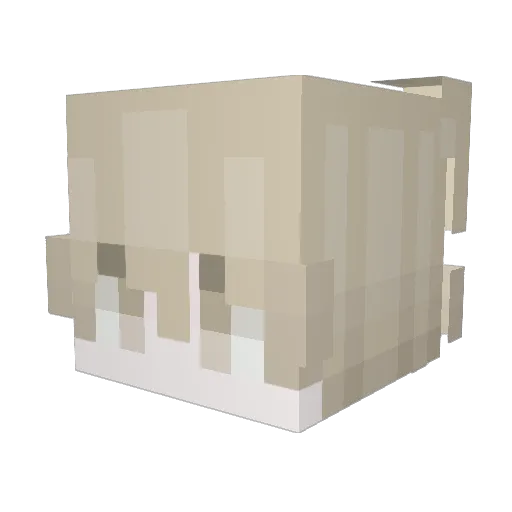 Cumplir Minecraft avatar head, 3D render
