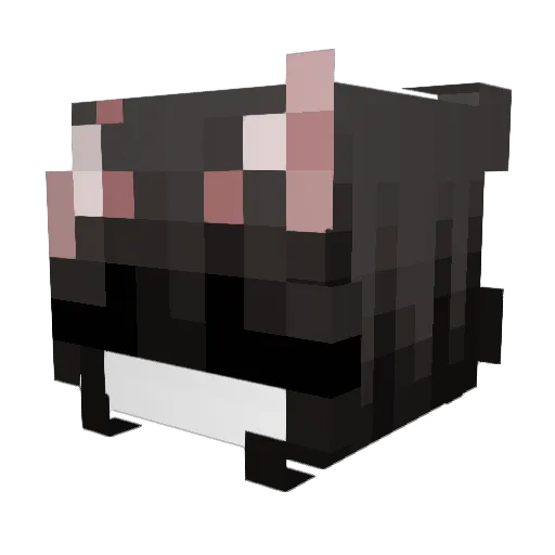 Cumulusss Minecraft avatar head, 3D render