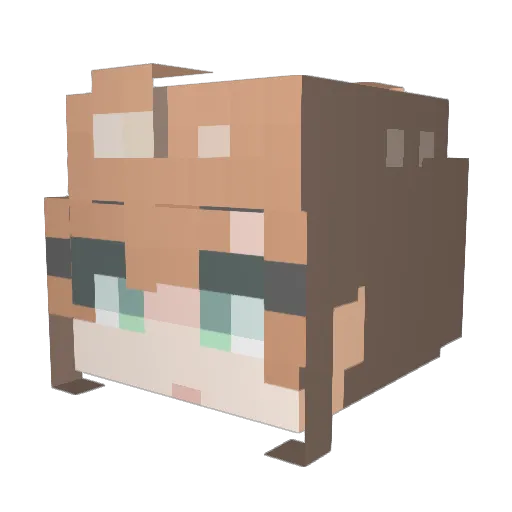 Cup_N Minecraft avatar head, 3D render