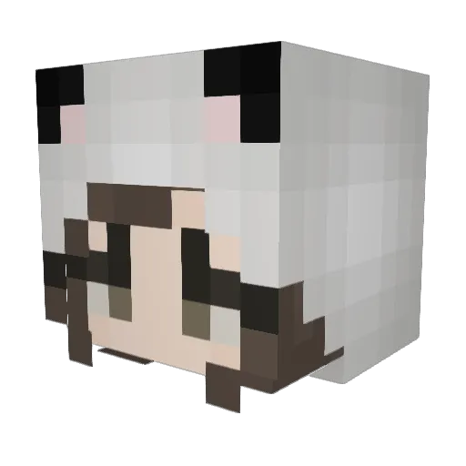 Cupcake28 Minecraft avatar head, 3D render