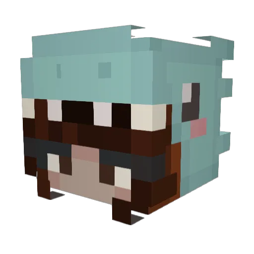 Cupcake3070 Minecraft avatar head, 3D render