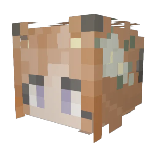 CupcakeJemon Minecraft avatar head, 3D render