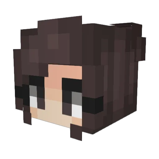 CupcakeSnack Minecraft avatar head, 3D render