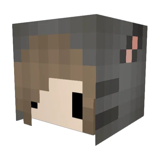 Cupcakeen Minecraft avatar head, 3D render