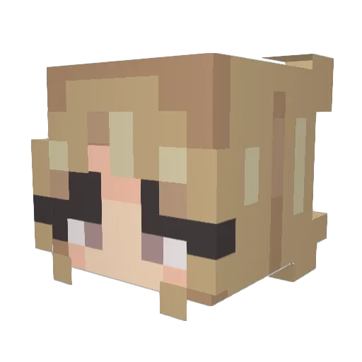 Cupcakeyyyy Minecraft avatar head, 3D render