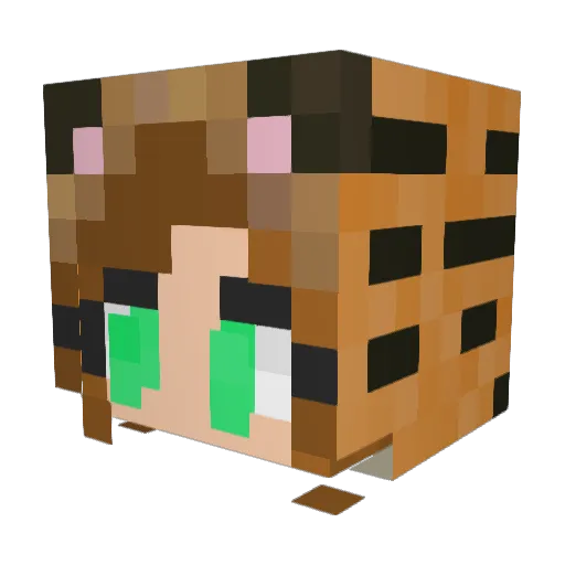 Cupcakez_69 Minecraft avatar head, 3D render