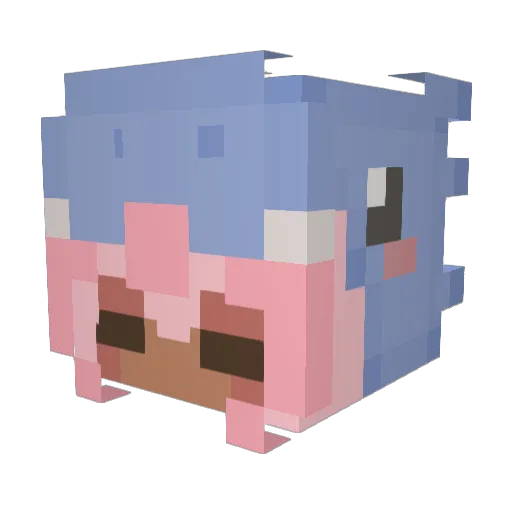 CupkakeQueen123 Minecraft avatar head, 3D render