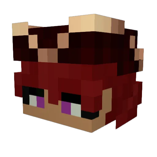 Cuponius Minecraft avatar head, 3D render