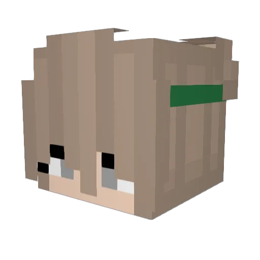Cupp Minecraft avatar head, 3D render