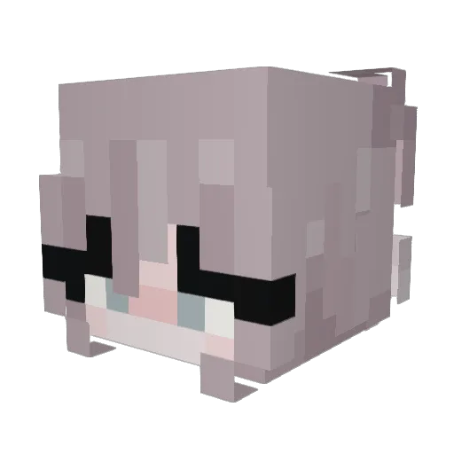 Cuppercino Minecraft avatar head, 3D render