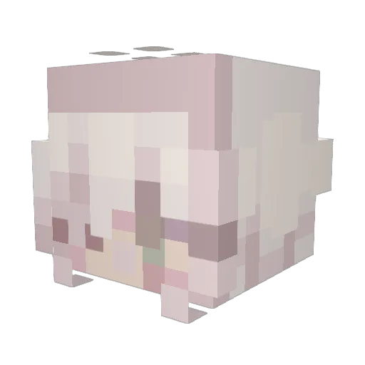 CuppyTiger Minecraft avatar head, 3D render