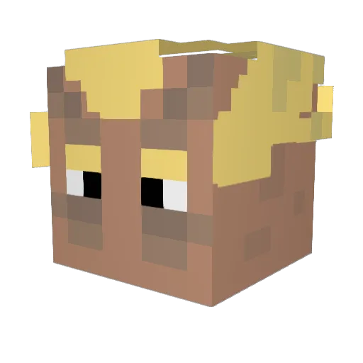 Cuptyom Minecraft avatar head, 3D render