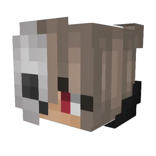 Cur4h Minecraft avatar head, 3D render