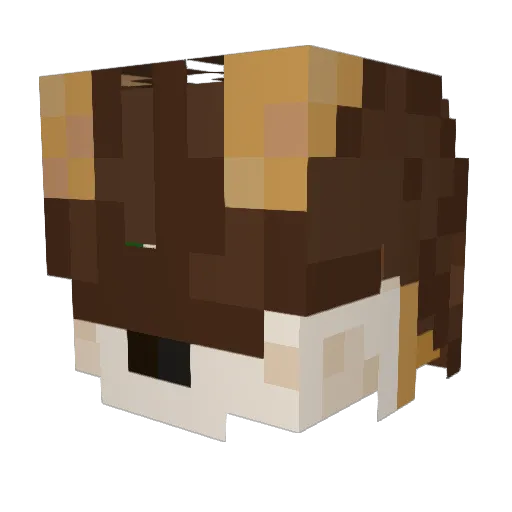 Curbeddd Minecraft avatar head, 3D render